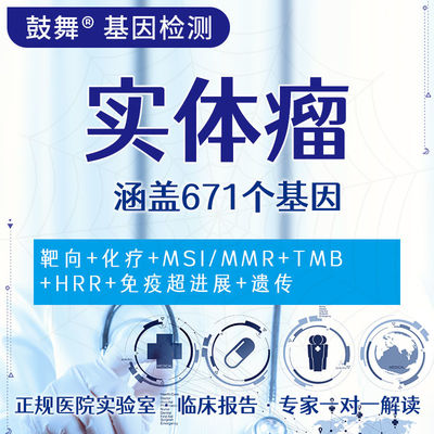 Solid Tumor 671 Gene Testing NGS Genetic Health Testing Service