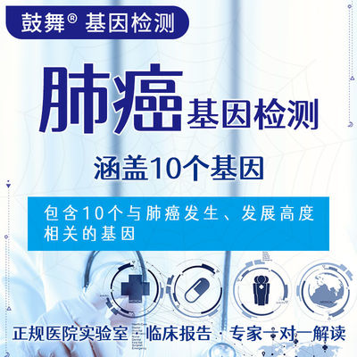 ซื้อ NGS 10 การทดสอบพันธุกรรม 10 การทดสอบพันธุกรรมเป้าหมายสําหรับความเสี่ยงของโรคมะเร็งปอด online manufacture