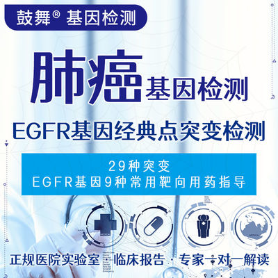 ซื้อ การตรวจพบการกลายพันธุ์จุดคลาสสิกของยีน EGFR online manufacture