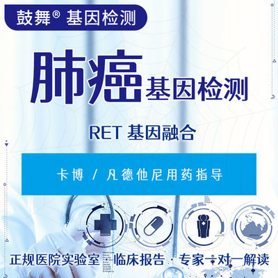 ซื้อ RET การผสมพันธุกรรม FISH การทดสอบพันธุกรรมสําหรับมะเร็ง online manufacture