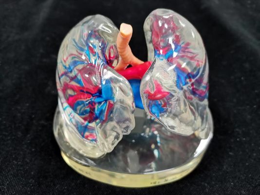 Medical 3D reconstruction and 3D printing services